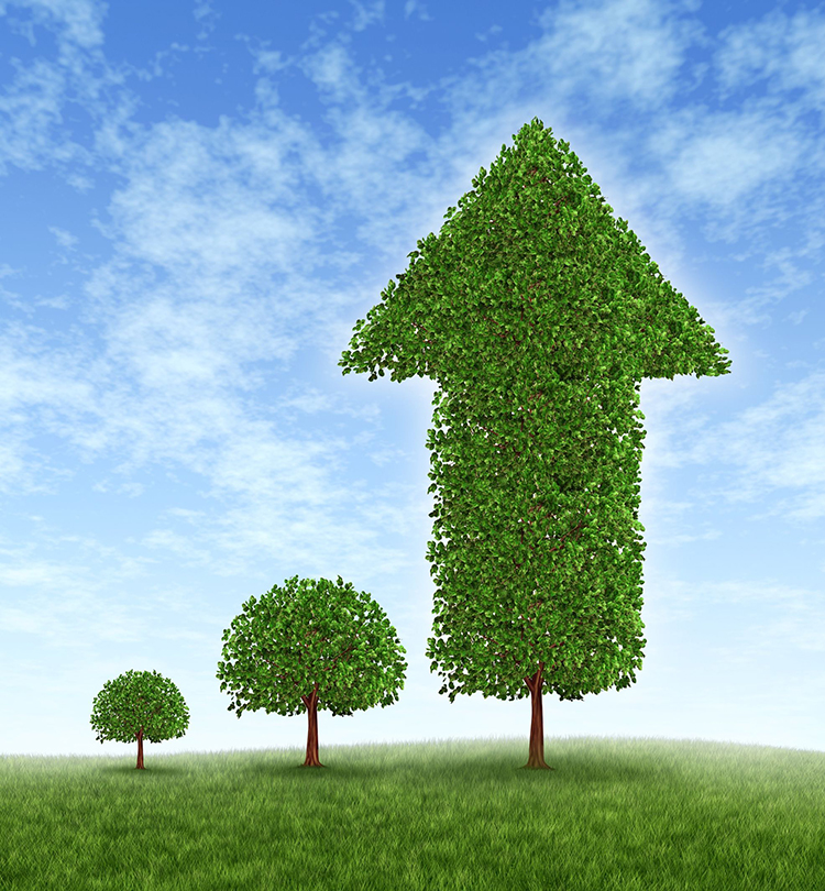Business growth