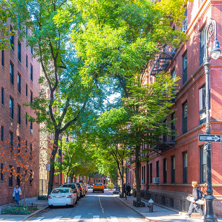 Greenwich Village street trees