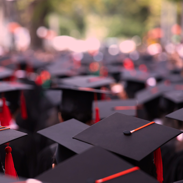 University graduates